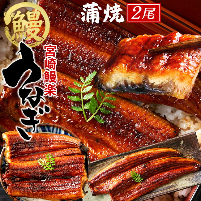 鰻 うなぎ 国産 ウナギ 蒲焼き 2尾セット［計280g］九州宮崎産 鰻楽 かば焼き ひつまぶし ご当地 専門店の味 お取り寄せグルメ 通販 人気 うなぎ［産直 食品ギフト］｜ショクコレ