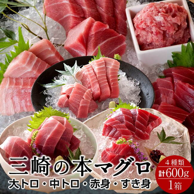 まぐろ 天然 本まぐろ 三大部位 詰合せ 600g［大トロ1、中トロ1、赤身2、すき身2］刺身用 ねぎとろ 三浦三崎 マグロ 詰め合わせ 神奈川県産 通販 ご当地 お取り寄せ 産直 グルメ［産直 食品ギフト］