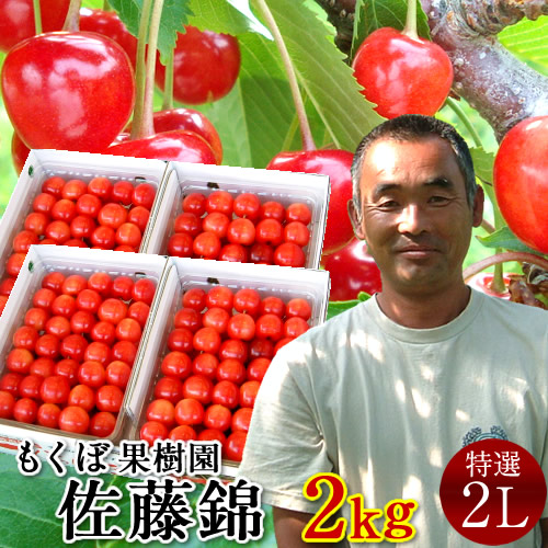 さくらんぼ 佐藤錦 2kg＼お中元予約 7月中下旬お届け／最高級 秀品【特選2L/L】1kg×2箱セット 完熟 高糖度 大玉 サクランボのふるさと 北海道 余市仁木町 優良生産者 もくぼ果樹園 さとうにしき［お中元 人気 ギフト 御中元2024］