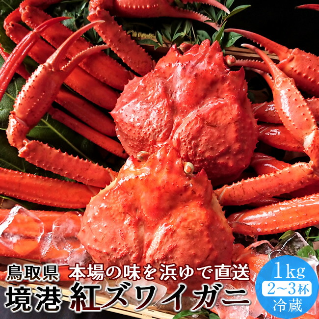 かに 境港 紅ズワイガニ 姿1kg［2-3杯］新物漁解禁 冷蔵 浜ゆで ゆでがに チルド ベニズワイガニ 日本海 鳥取県産［産直 食品ギフト］