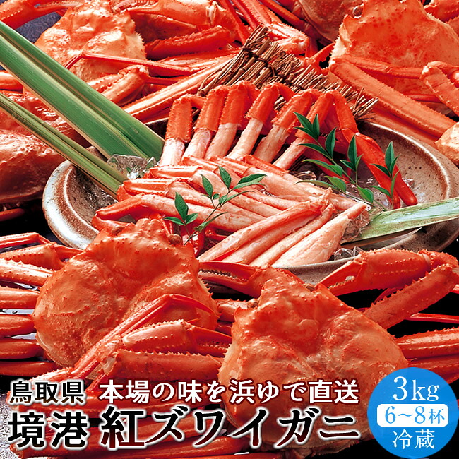 かに 境港 紅ズワイガニ 姿3kg［6-8杯］新物漁解禁 冷蔵 浜ゆで ゆでがに チルド ベニズワイガニ 日本海 鳥取県産［産直 食品ギフト］
