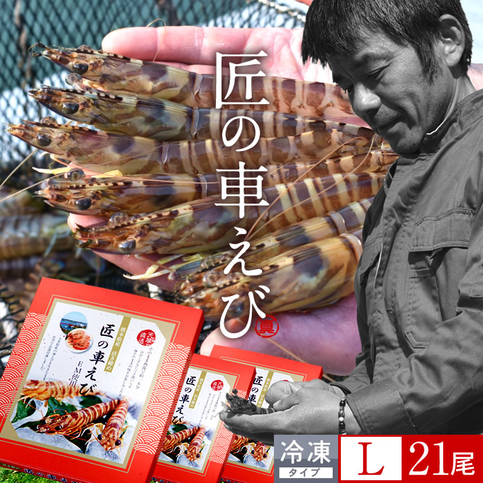 車海老 天草［活〆冷凍］大L 21尾［7尾入250g&times;3P］車エビ 刺身 焼き フライ 熊本県 養殖 クルマエビ 島育ち 匠の車えび 旬 食べ方 塩焼き レシピ［産直 食品ギフト］｜ショクコレ