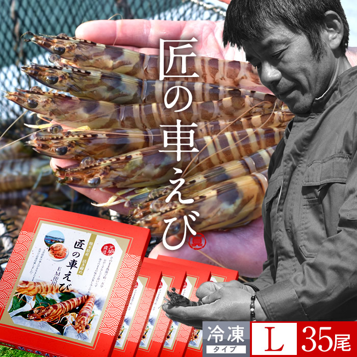 車海老 天草［活〆冷凍］大L 35尾［7尾入250g&times;5P］車エビ 刺身 焼き フライ 熊本県 養殖 クルマエビ 島育ち 匠の車えび 旬 食べ方 塩焼き レシピ［産直 食品ギフト］｜ショクコレ