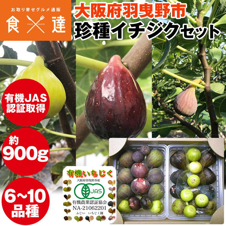L-pa イチジク いちじく 結実確認済 楽天市場】いちじく 2kg 有機JAS認証取得 珍種イチジク 12～20種
