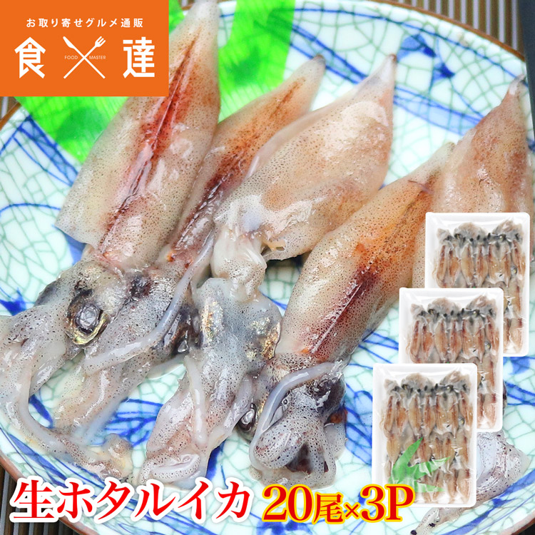 楽天市場】ホタルイカ 生 刺身 生食 20尾入り 3パックセット ほたる