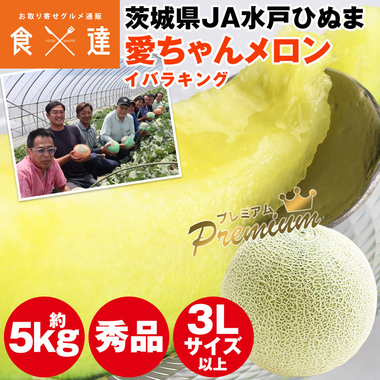 イバラキング メロン 5kg 愛ちゃんメロン 茨城県産 秀品 3L以上 青肉メロン 産直 常温便 同梱不可 指定日不可