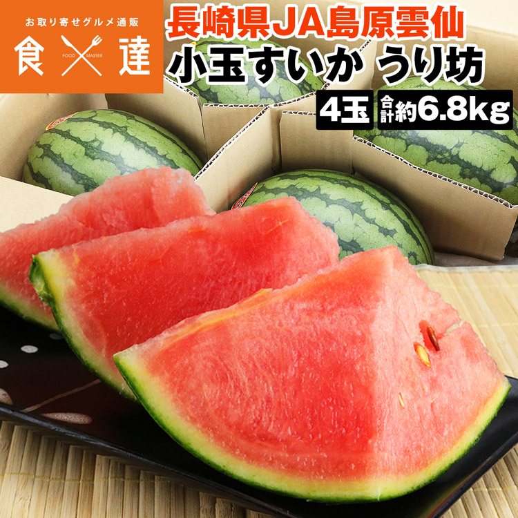 すいか 小玉スイカ うり坊 秀品 4玉 6.8kg (1玉1.7kg) 西瓜 長崎県産 フルーツ 果物 常温便 同梱不可 指定日不可