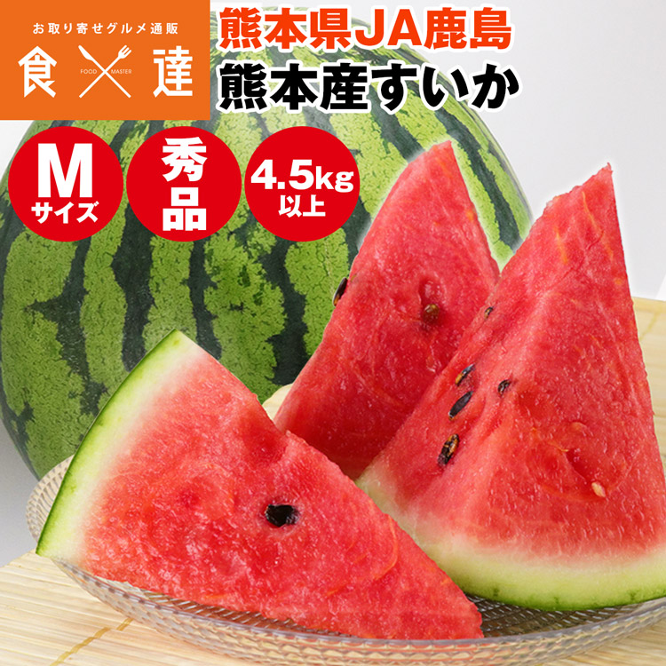 すいか 熊本県産 秀品 1玉 Mサイズ 4.5kg以上 西瓜 スイカ JA鹿本 常温便 同梱不可 指定日不可