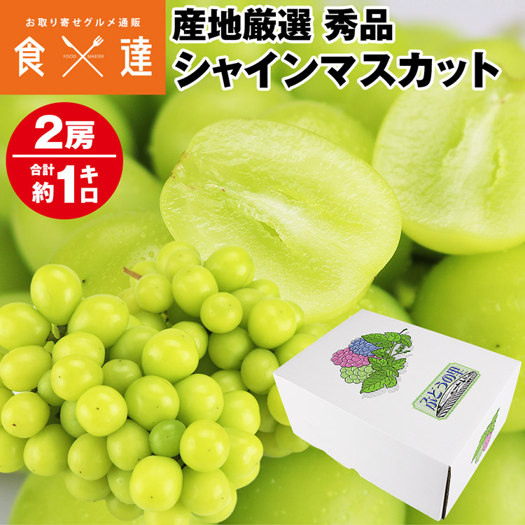 楽天市場】シャインマスカット 2箱 4房 2kg (1箱あたり 2房 1kg 秀品）ぶどう 産地厳選 贈答用 ギフト ブドウ 白ぶどう 葡萄 種無し  冷蔵便 同梱不可 指定日不可 : 食の達人お取り寄せグルメ