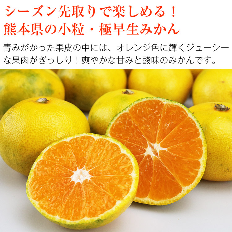 ご注文で当日配送 みかん 熊本県産 極早生 合計 約3kg 優品 Lサイズ 23〜24個程度 ミカン 蜜柑 豊福 早生 フルーツ 果物 旬 常温便  同梱不可 指定日不可 pianoreview.org