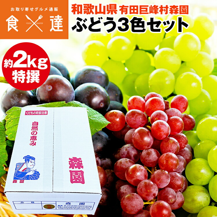 姫　山梨県産シャインマスカットとピオーネ二房詰め合わせ４キロ　送料込み 000000000020.jpg