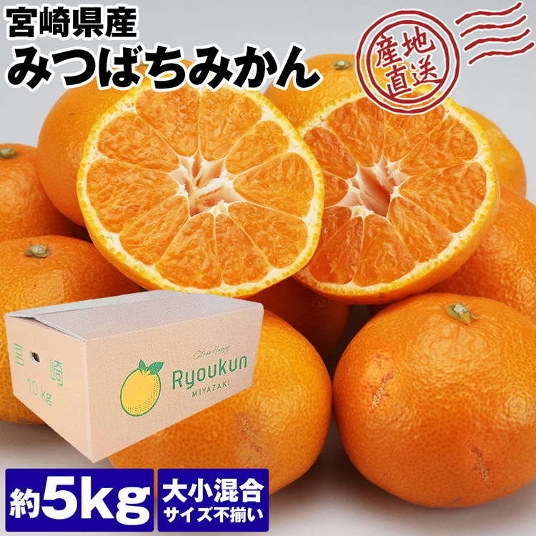 みかん 静岡県産みかん - ハーモニック 商品検索サイト