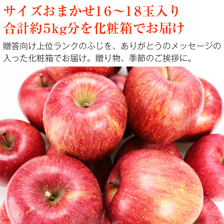 よって 青森県産りんご サンふじ贈答用 約5kg 産地直送 青森県青森市 にこだわり Shineray Com Br