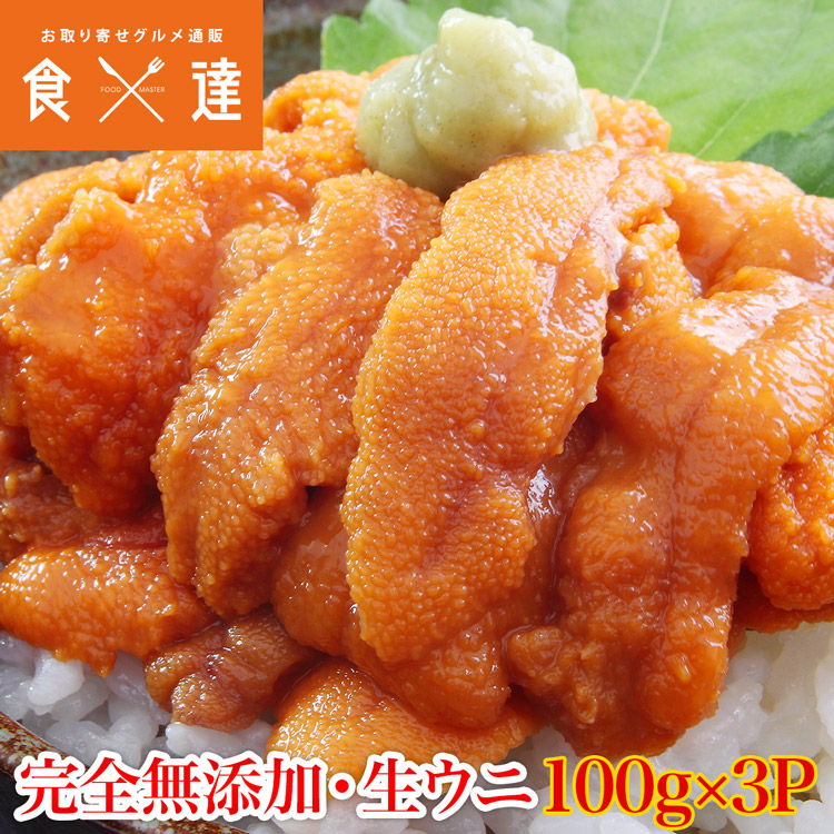 生うに 100g×3パック 完全無添加 みょうばん不使用 ブランチング処理済 お刺身用 生 Aグレード ウニ うに 雲丹 冷凍 送料無料 冷凍便 ギフト お取り寄せグルメ 食品 ギフト