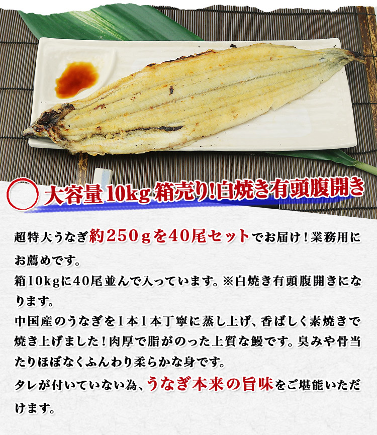 市場 うなぎ 超特大 250g×40尾 10kg 白焼き 業務用 有頭腹開き 中国産