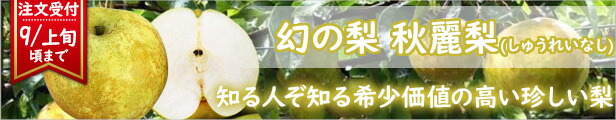 楽天市場】梅干し しそ漬け 稲積梅 1kg 富山 氷見 無添加 無着色 天日塩 富山県固有種 国産 お取り寄せグルメ 常温便 産地直送 同梱不可  指定日不可 : 食の達人お取り寄せグルメ