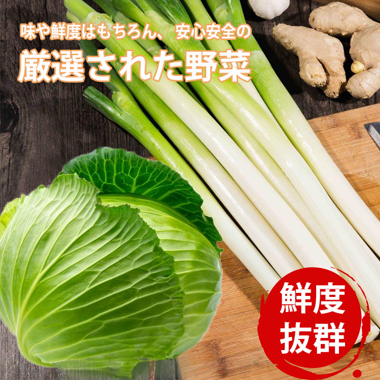 餃子冷凍餃子100個入り18g焼き餃子生餃子ぎょうざギョウザギョーザ冷凍食品食品惣菜中華惣菜点心中華中華点心横浜中華グルメ大人気冷凍商品業務用豚肉野菜おつまみおかずビール美味しいお中元中元お中元ギフトプレゼント送料無料