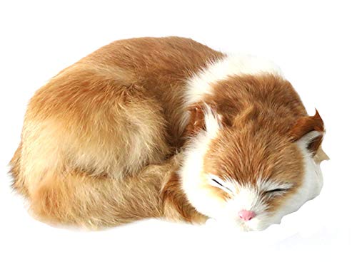 楽天市場】猫ぬいぐるみリアル寝そべりねこ本物そっくりネコ