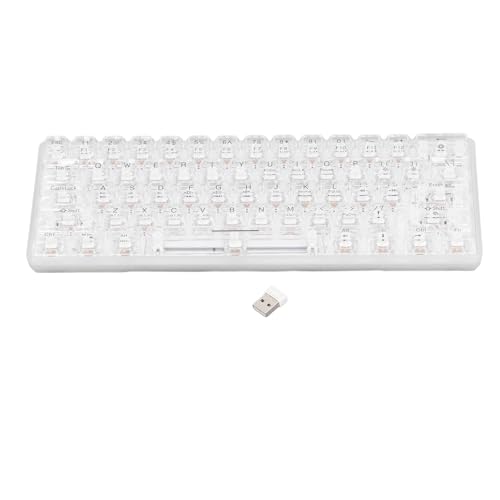 3モードワイヤレスRGBゲーミングキーボード、ホットスワップソケット付きBluetooth完全透明メカニカルキーボード、2000mAhリチウムバ