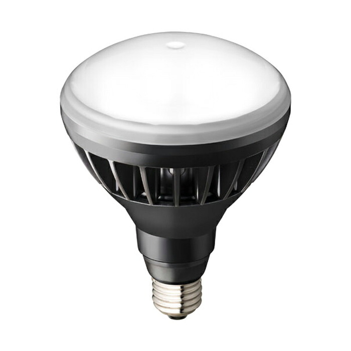 LDR11NHB850 岩崎電気 LED電球 バラストレス水銀灯タイプ 11W 昼白色 口金E26 LDR11N-H/B850