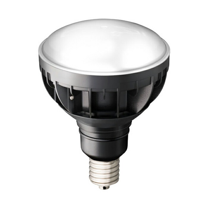 LDR30NHE39B850 岩崎電気 LED電球 バラストレス水銀灯タイプ 30W 昼白色 口金E39 LDR30N-H-E39/B850