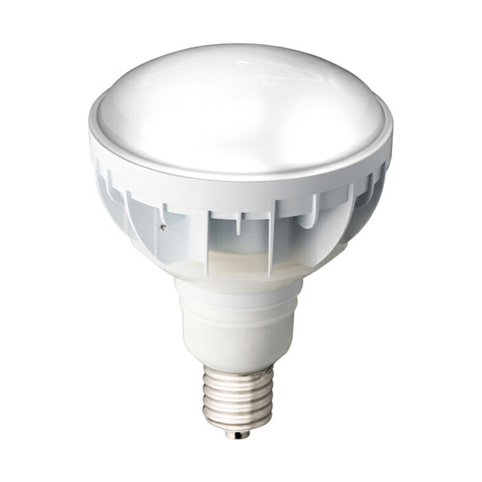 LDR30NHE39W850 岩崎電気 LED電球 バラストレス水銀灯タイプ 30W 昼白色 口金E39 LDR30N-H-E39/W850
