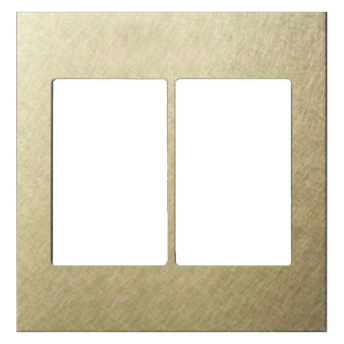 WTA9602Y パナソニック 現金前貸しつづき物 EXTRA エクストラメタル 取り替えっこ一皿 2連用 バイブレーション入眼 ゴールド