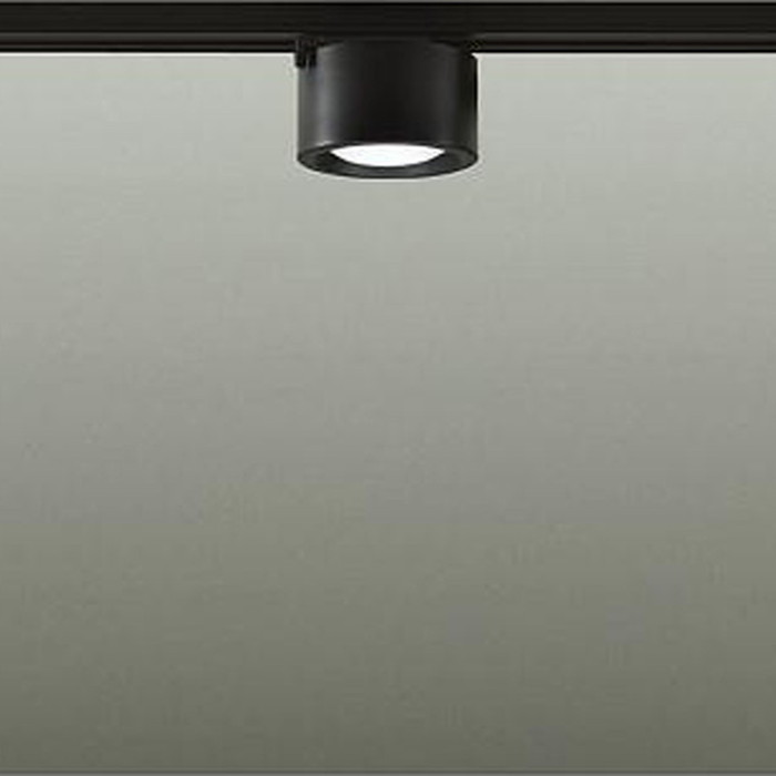 DCL40757W 大光電機 ダウンシーリングライト 白熱灯器具60W相当 昼白色 レール取付専用 DCL-40757W