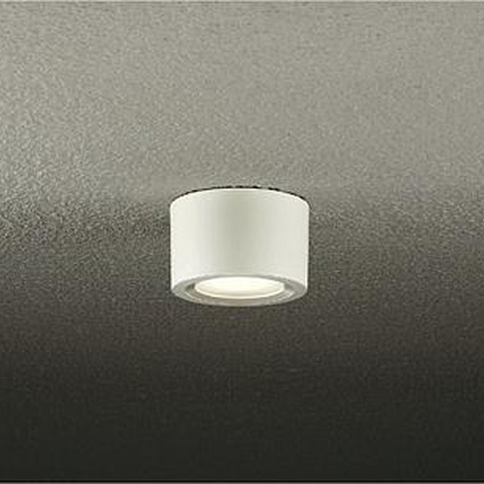 DOL4070YW 大光電機 軒下シーリングライト 白熱灯器具60W相当 電球色 2700K 防雨型 DOL-4070YW