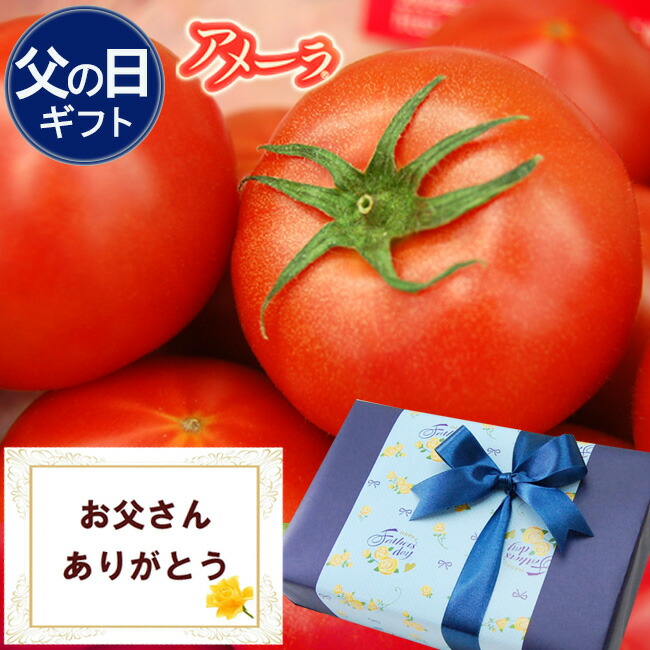 お届け日ご指定OK 父の日ギフト  静岡県産 アメーラ トマト 【秀品】9～16個 約1キロ プレゼント トマト 限定ラッピング 無料メッセージカード フルーツ 果物 ギフト おしゃれ  おすすめ 人気 グルメ 送料無料 高級 健康 ヘルシー フルーツトマト とまと