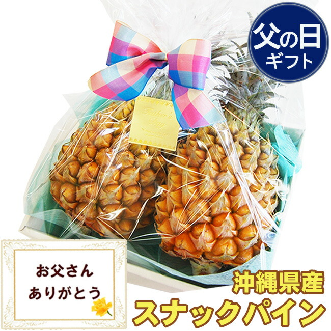 父の日ギフト 沖縄産 スナック イン 2玉 セット  プレゼント パイナップルフルーツ ギフト 南国 ボゴール トロピカル 果物 おしゃれ メッセジカード付 おすすめ 人気 グルメ 高級 健康 ヘルシー プレゼント お取り寄せ