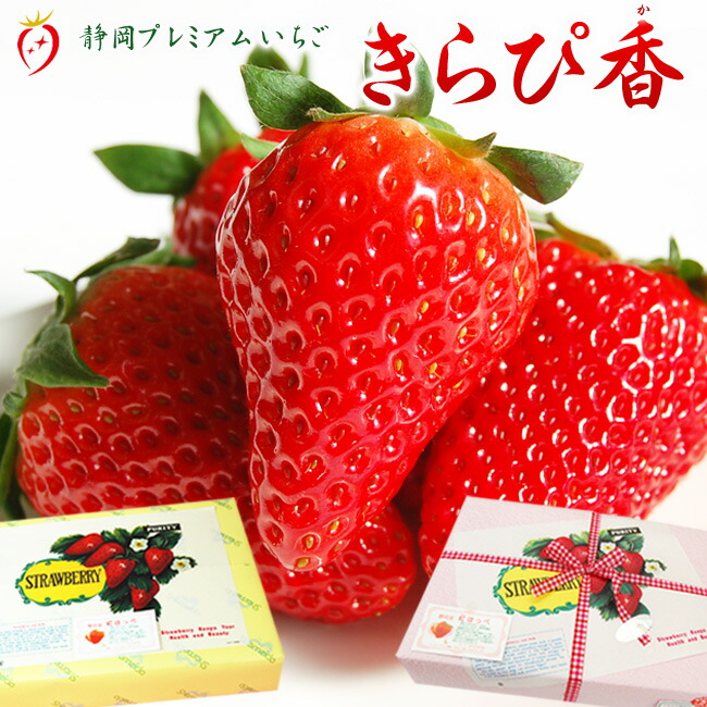楽天市場】静岡県産 いちご 【 きらぴ香 】 12粒 または 15粒 入 化粧