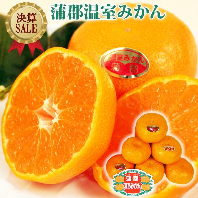 【決算SALE】 糖度12度  愛知県 蒲郡産 高級 温室みかん 最高等級【 赤秀品 】 Sサイズ 15個 または Ｍサイズ 12個 化粧箱入り 詰め合わせ お試し ハウスみかん ミカン 食べやすい フルーツ 果物 ギフト おすすめ 人気 グルメ プレゼント 値引き セール お買い得 クール便