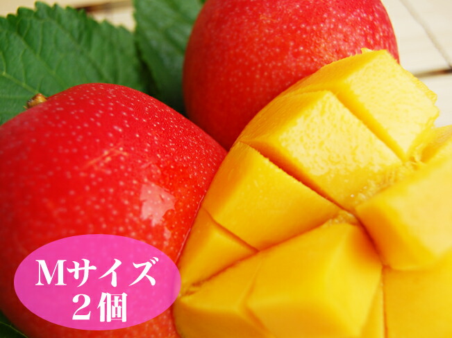 【 あす楽 即日発送 】 食べ切りサイズ 宮崎マンゴー Mサイズ  2個セット (透明パック入り)  トロピカル フルーツ 南国 宮崎県産 果物 ご自宅用 誕生日 お試し 完熟マンゴー 食べ頃