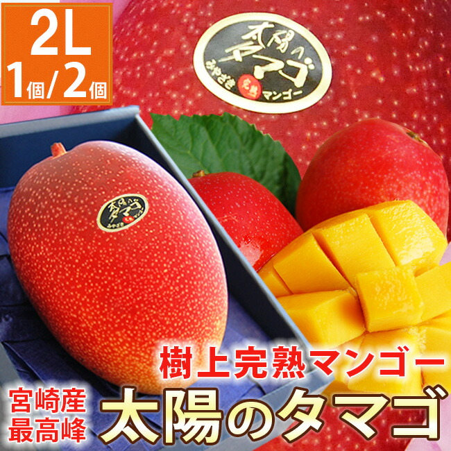 【 あす楽 即日発送 】 宮崎県産 樹上完熟マンゴー最高峰【 太陽のタマゴ 】 2Lサイズ 1個 / 2個 化粧箱入り 贈答用 ギフト フルーツ 果物 ギフト 無料メッセージカード 人気 グルメ 喜ばれる 貰って嬉しい 高級 健康 プレゼント 太陽のたまご