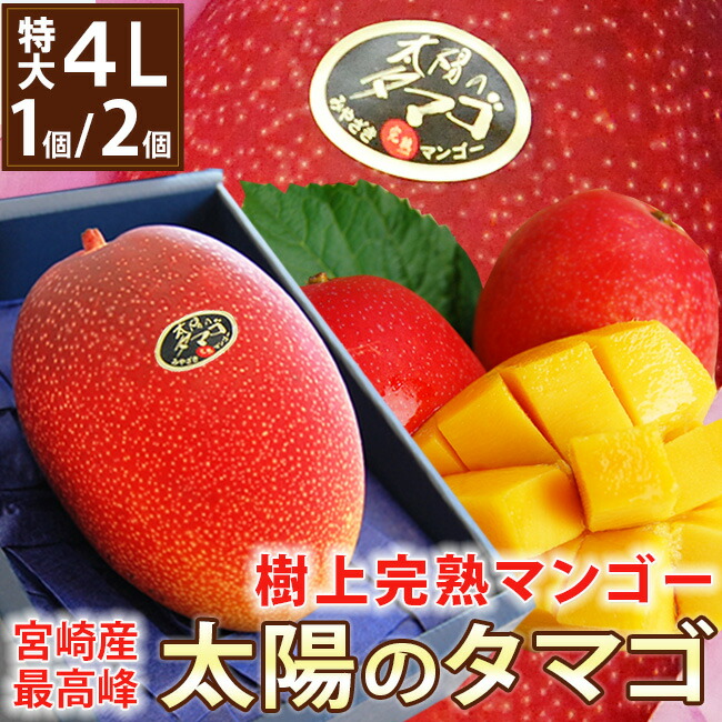 【 あす楽 即日発送 】 特大4Lサイズ 宮崎県産 樹上完熟マンゴー最高峰【 太陽のタマゴ 】 1個 / 2個  専用化粧箱入り 贈答用 ギフト フルーツ 果物 ギフト 無料メッセージカード 人気 グルメ 喜ばれる 貰って嬉しい 高級 健康 プレゼント 太陽のたまご