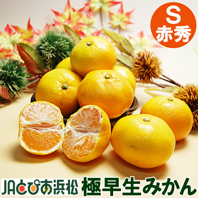 楽天市場】【 あす楽 即日発送 指定日 OK】JA とぴあ 浜松 極