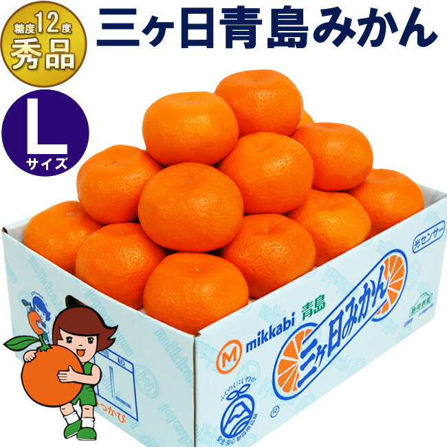 【みかん人気品種ランキング】糖度12以上や日本一美味しいみかんなど！お取り寄せで人気のおすすめは？