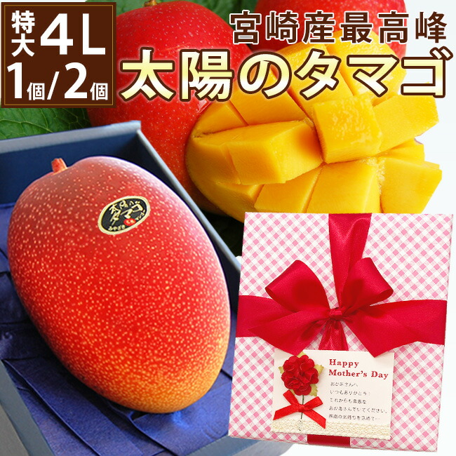 母の日ギフト 特大4Lサイズ 宮崎県産 樹上完熟マンゴー最高峰【 太陽のタマゴ 】 1個 / 2個 リボン カーネーション メッセージカード 南国フルーツ トロピカルフルーツ 果物 ギフト  グルメ 高級 健康 贈り物  人気 おすすめ