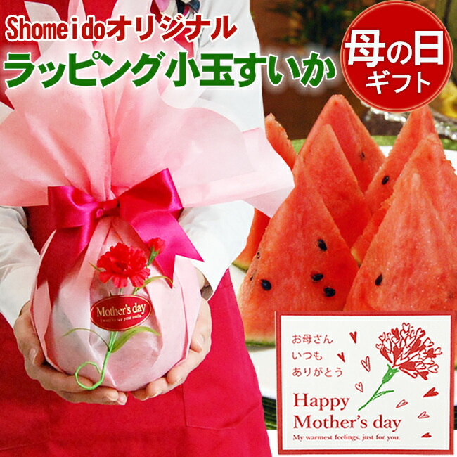 【 遅れてごめんね！】 母の日ギフト プレゼント 小玉すいか スイカ すいか 国産 数量限定 無料メッセージカード カーネーション 付き 義母 フルーツ 可愛い かわいい 綺麗 きれい リボン ラッピング 果物 クール便