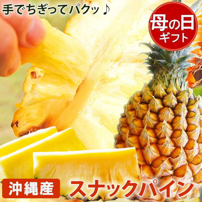 【 即日発送 】 母の日ギフト 沖縄 産 スナックパイン 2玉 フルーツ 詰め合わせ セット 楽しい パイナップル ギフト 南国 トロピカル フルーツ 果物 おしゃれ 限定 無料 メッセージカード 人気 グルメ 高級 健康 ヘルシー プレゼント お取り寄せ クール便