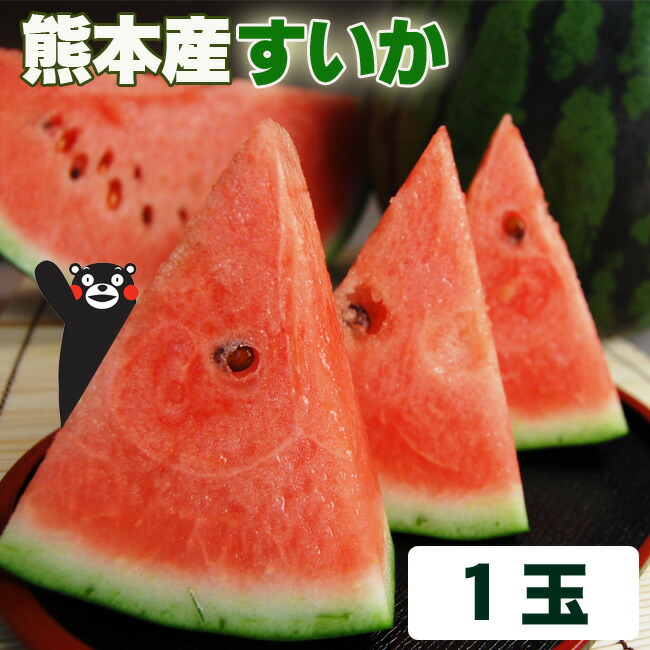 熊本産すいか【秀品】S～Mサイズ 1玉 スイカ 西瓜 果物 フルーツ グルメ  特産品 お取り寄せ 全国発送 クール便