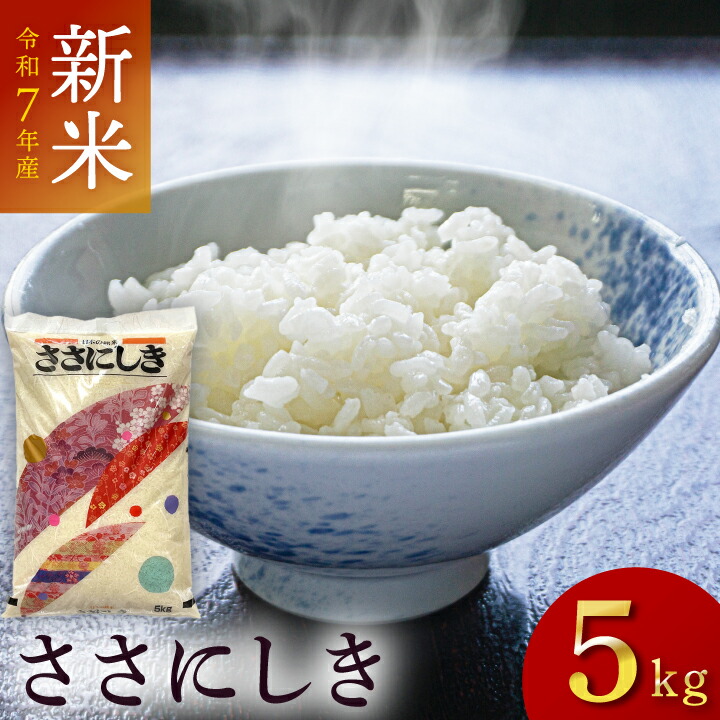 楽天市場】20日はポイント5倍！【残りわずか！早いもの勝ち！】令和6年