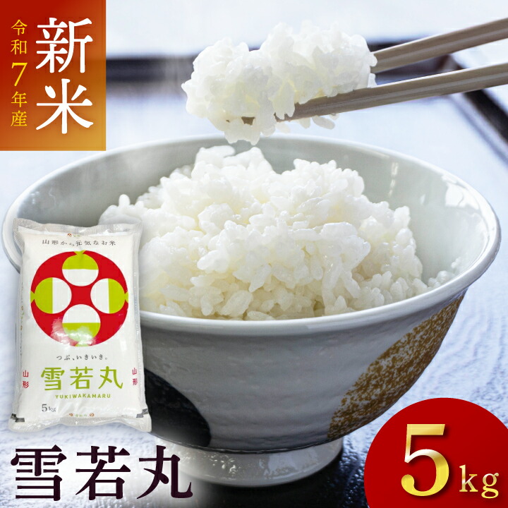 農家直送！令和7年産 はえぬき 山形県庄内産 白米20kg はえぬき