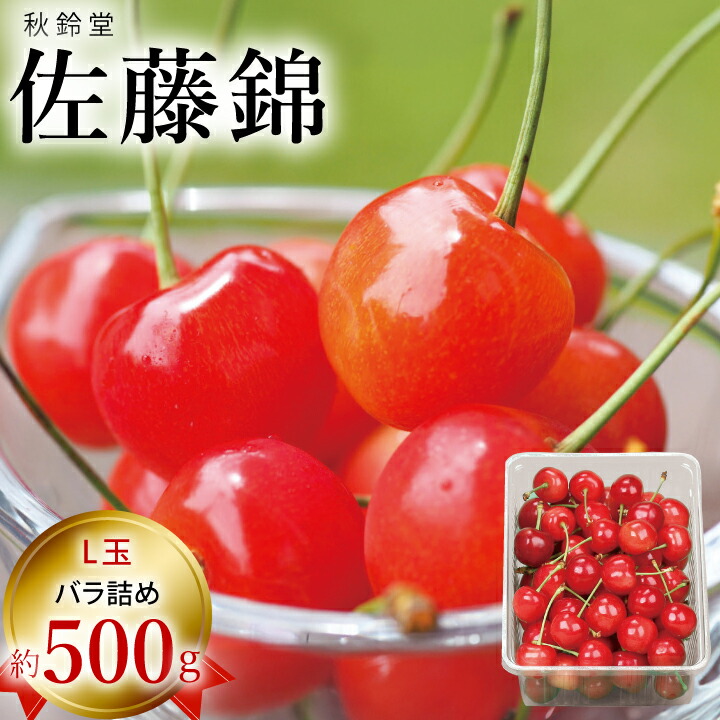 5/20はポイント5倍！【予約販売限定】秋鈴堂「佐藤錦（約500g/バラ詰め）」(露地栽培)【2025年6月中旬～6月下旬発送予定】　山形県寒河江産　さくらんぼ　L玉バラ詰め　6月中旬～6月下旬発送　産地直送　お中元　ギフト　一部送料無料