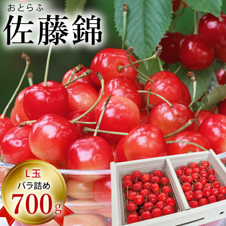 5/25はポイント5倍！【予約販売限定】おとらふ「佐藤錦（700g/バラ詰め）」【2025年6月中旬～6月下旬発送予定】　山形県寒河江市　さくらんぼ　L玉以上バラ詰め　6月中旬～6月下旬発送　産地直送　お中元　ギフト　一部送料無料
