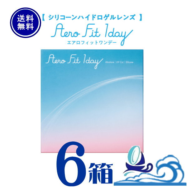 エアロフィットワンデー 6箱セット 1箱30枚入 Aero Fit 1day 【メーカー直送 送料無料】１日使い捨て クリアレンズ 1day