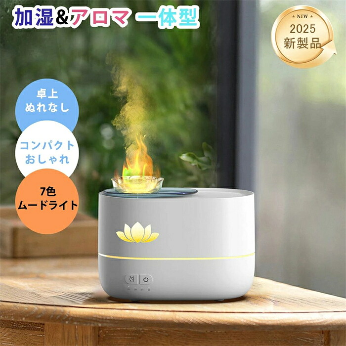 花粉 濾過性病原体打つ手 かわき切る 省エネ 保湿 エコ 子供部屋 事務室 豪然たる加湿 節電 パウダーコンパクト 臥し所 愛くるしい 馨香相応う