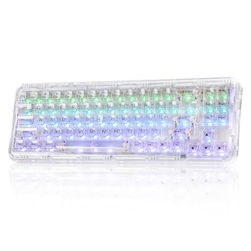 メカニカルゲーミングキーボード 71キー 透明キーキャップ 68%配列 ワイヤレス ホットスワップ対応 BT5.0/2.4G/USB-C ガスケット搭載 RGB 無線 Windows/Mac用 技適認証取得(クリスタルアイス軸、ホワイト)