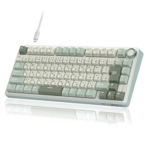 RK ROYAL KLUDGE R75 機械的鍵盤 有線 日本語割りつける 音の大きさノッブ積み上げる   75%カスタム ガスケットマウント社会システム RGBうしろ側点火装置 ソフトウエア相応う Cherry Profileプロファイル PBT足懸かり旗がしら 熱っぽい切りかえる相応う直線的取り替えっこ クリーミーなキーストローク音